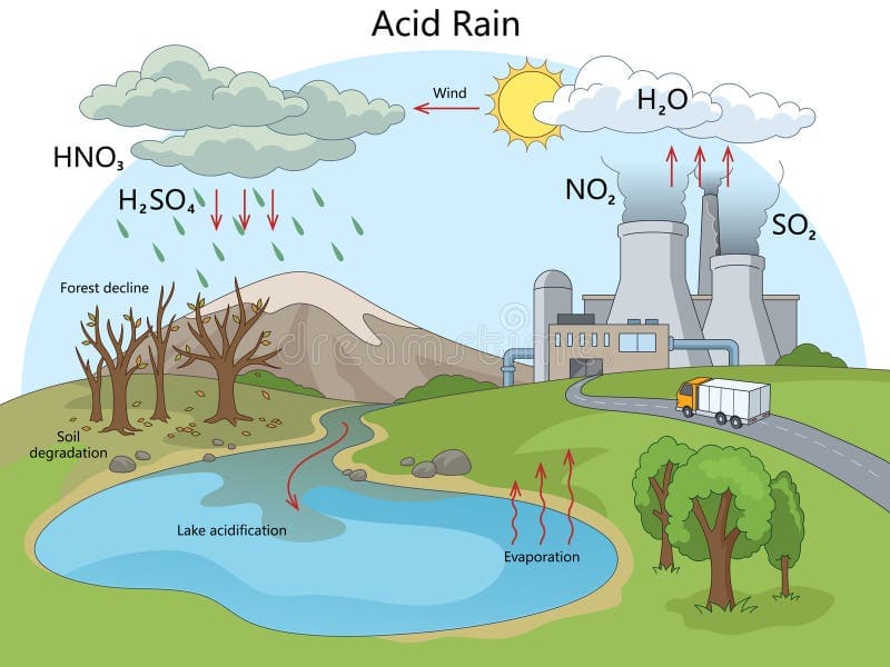 A diagram depicting how acid rain is formed from sulfur dioxide and nitrogen oxides in the atmosphere